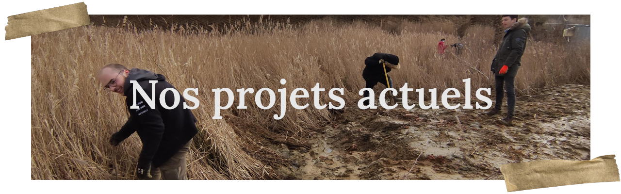 Nos projets - MJ Verte